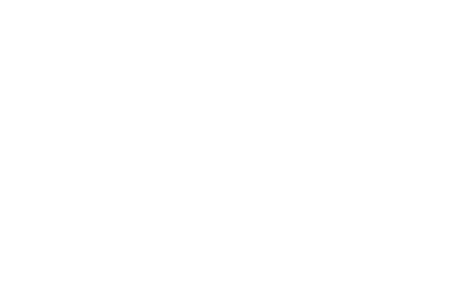AIDSL Logo